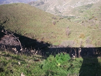 nte Mojo-30122011 079